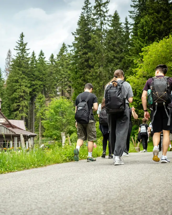 Hiking group on a mountain trail