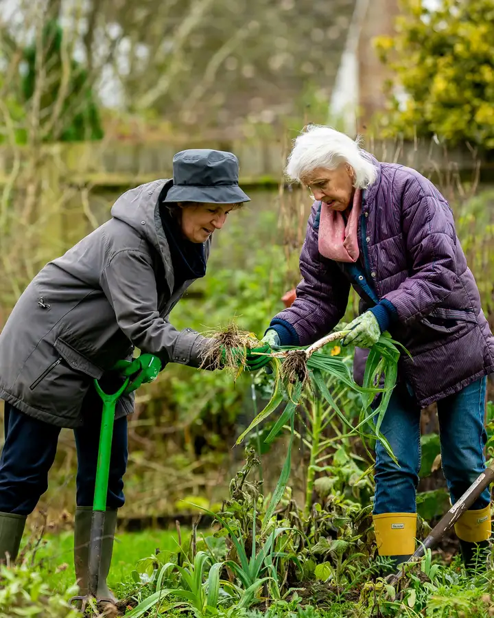 Volunteers at work