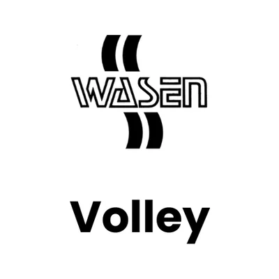 SV Wasen Volleyball